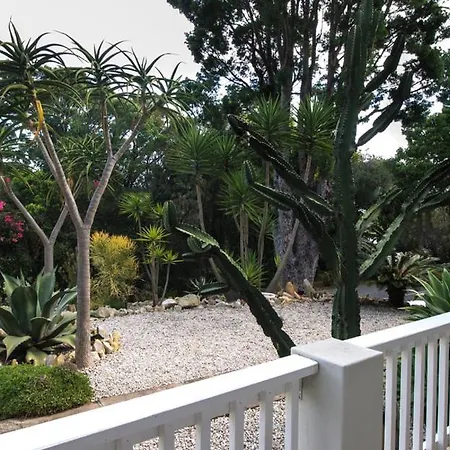 South Villa Guesthouse&Garden-3